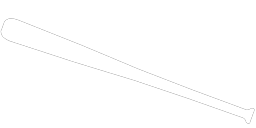 Baseball Bat
